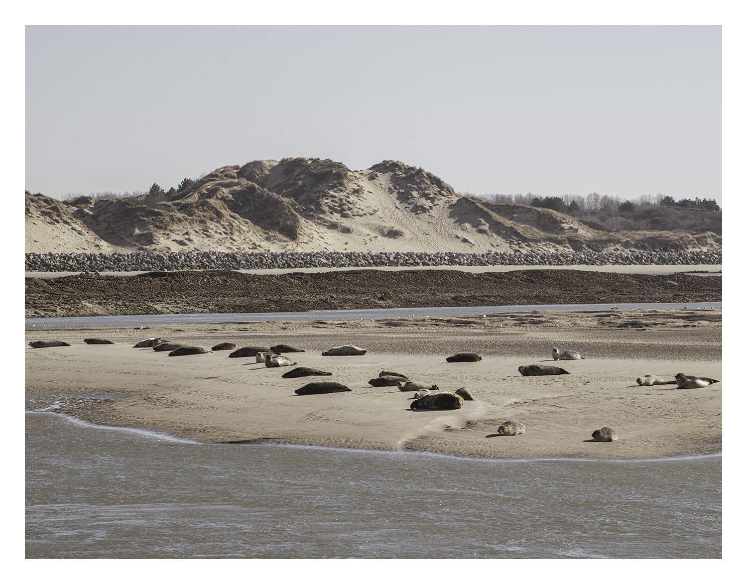 cottage proche du bord de mer et au cœur des dunes Merlimont Extérieur photo